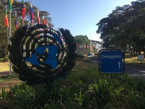 Citizen Science at UNEA4