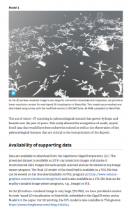 microCT seabed