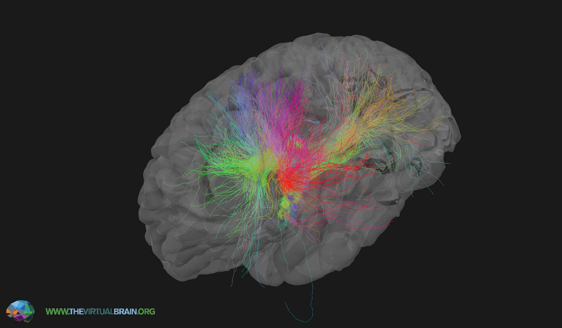 A Neuroinformagical Reunion At The Virtual INCF Assembly - GigaBlog