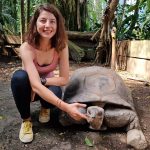 Aldabra Giant Tortoise in the zoo