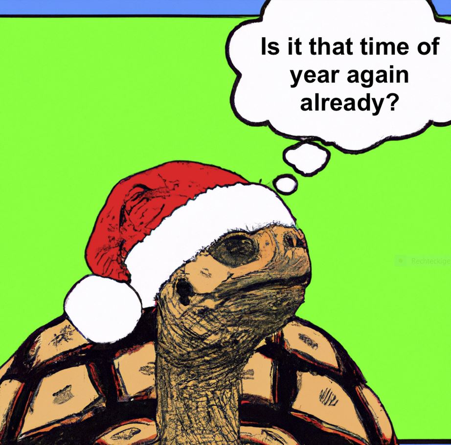 tortoise with Santa hat.