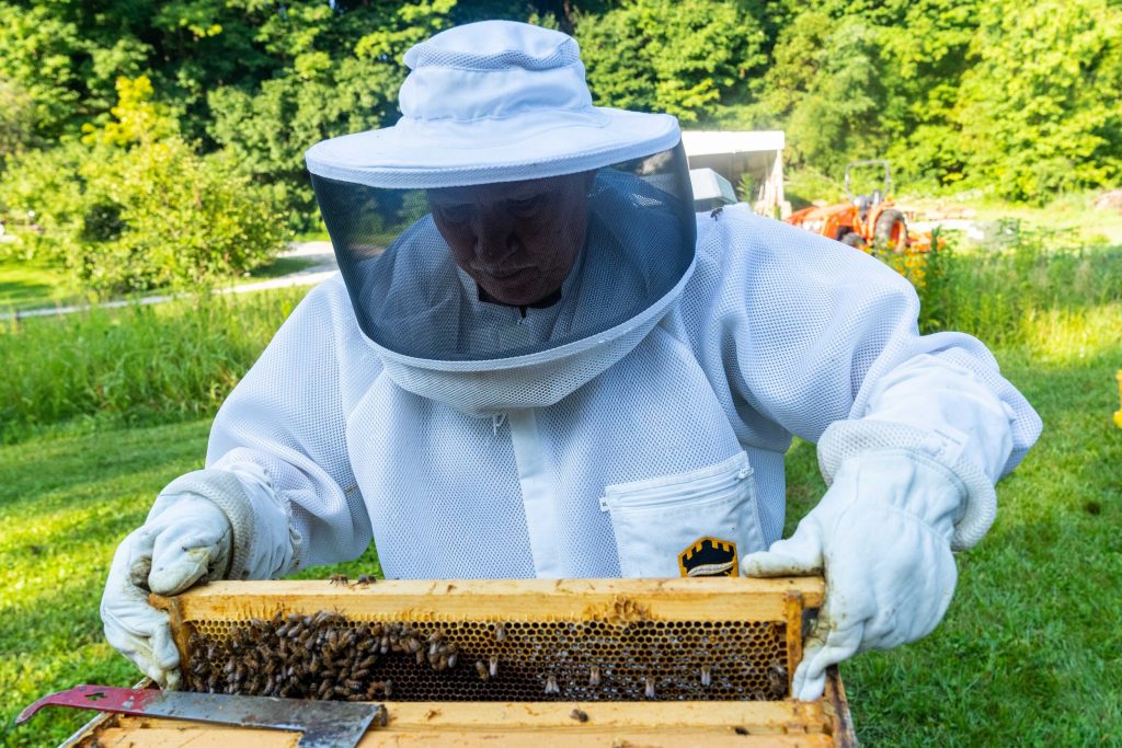 A Beekeeper in protective equipment tending to bees in an apiary. Author: U.S. Department of Agriculture.  License: Public Domain