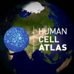 Human Cell Atlas Asia