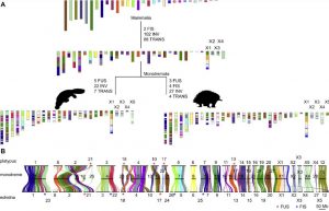 Figure 2 of Zhou et al (cc-BY)