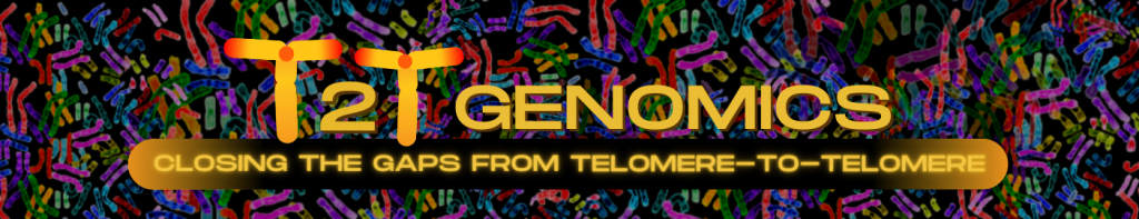 T2T genomes series