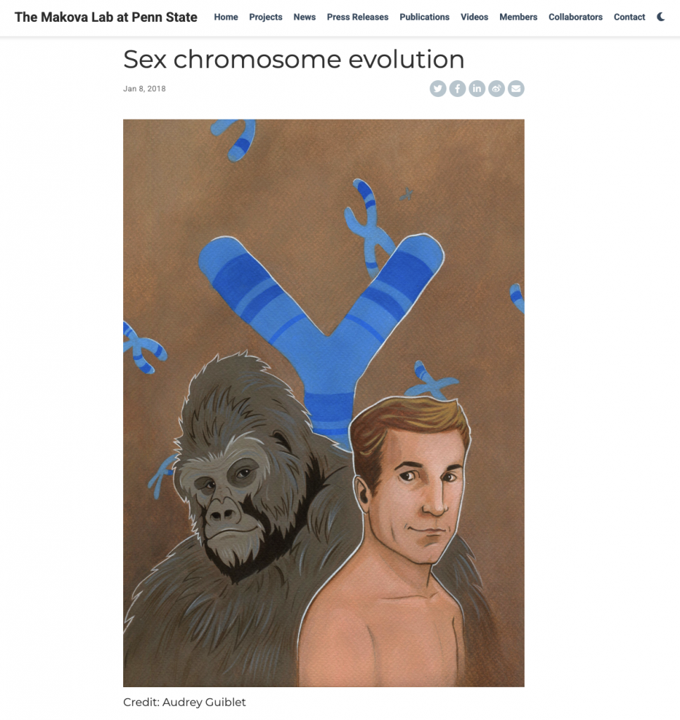T2T sex chromosomes